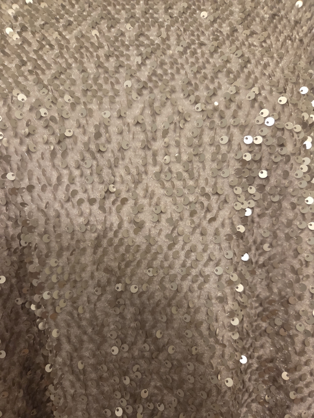 Jennifer Lopez Silver Sequin Short Sleeve Top - Picture 3 of 7